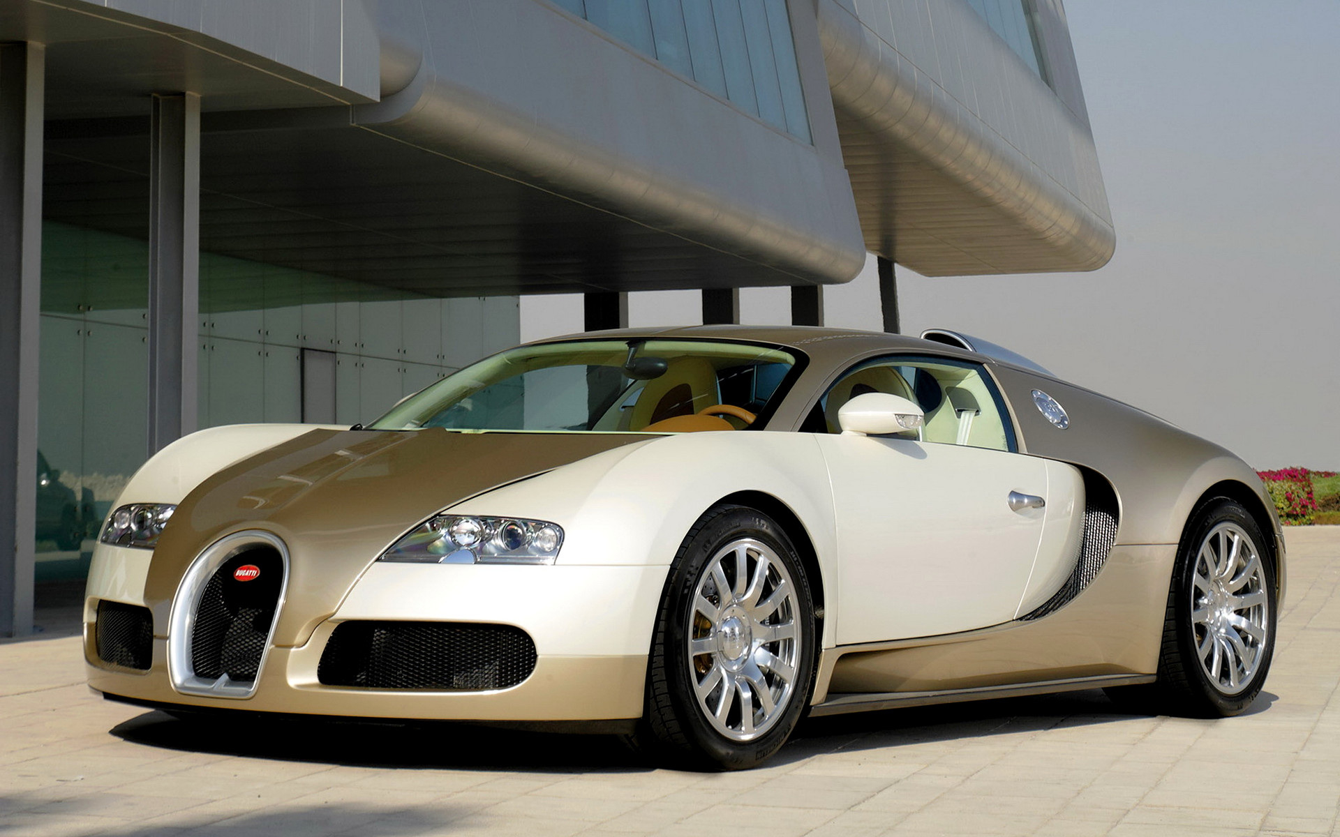 1920x1200 Bugatti Veyron Gold Edition and HD Image, Desktop