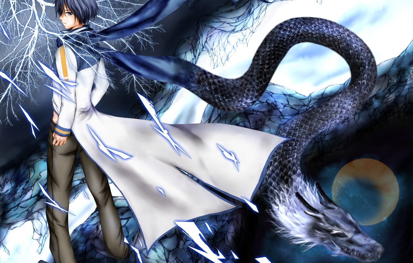 1340x850 Wallpaper the sky, stars, branch, the moon, dragon, art, guy, Vocaloid, Vocaloid, Kaito image for desktop, section сёнэн, Desktop