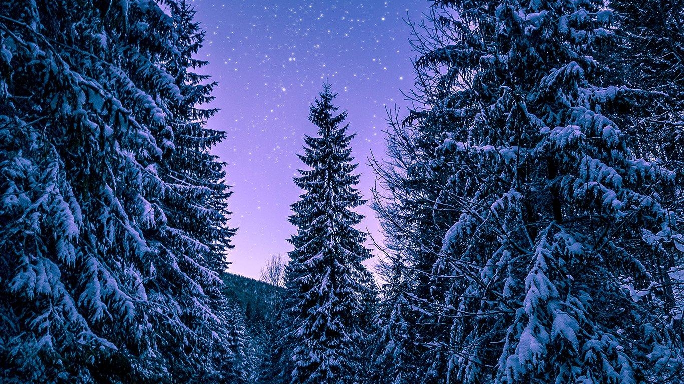 1370x770 wallpaper for desktop, laptop. snow winter wood tree, Desktop