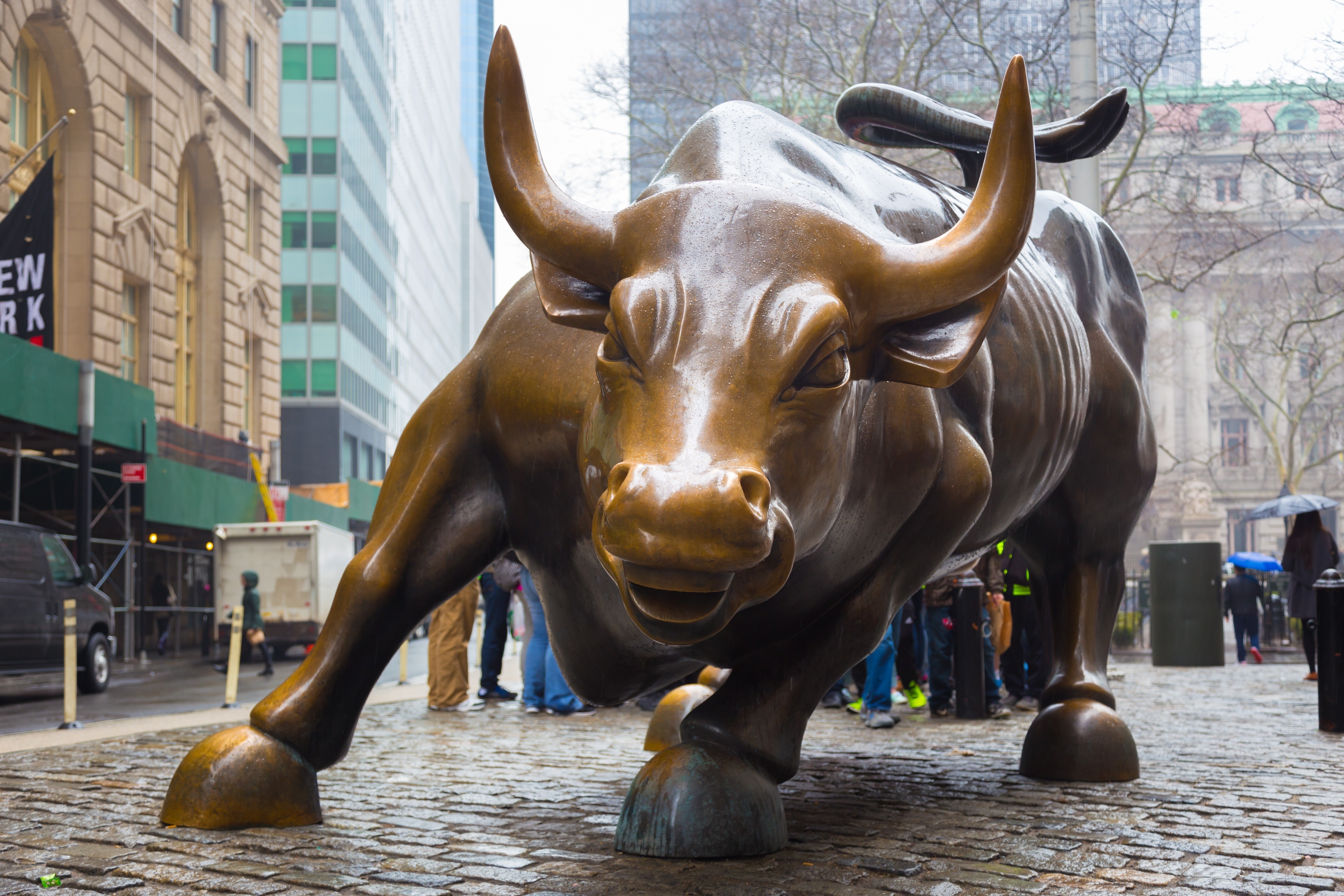 4500x3000 Charging Bull 1080P, 2k, 4k HD wallpaper, background free download, Desktop