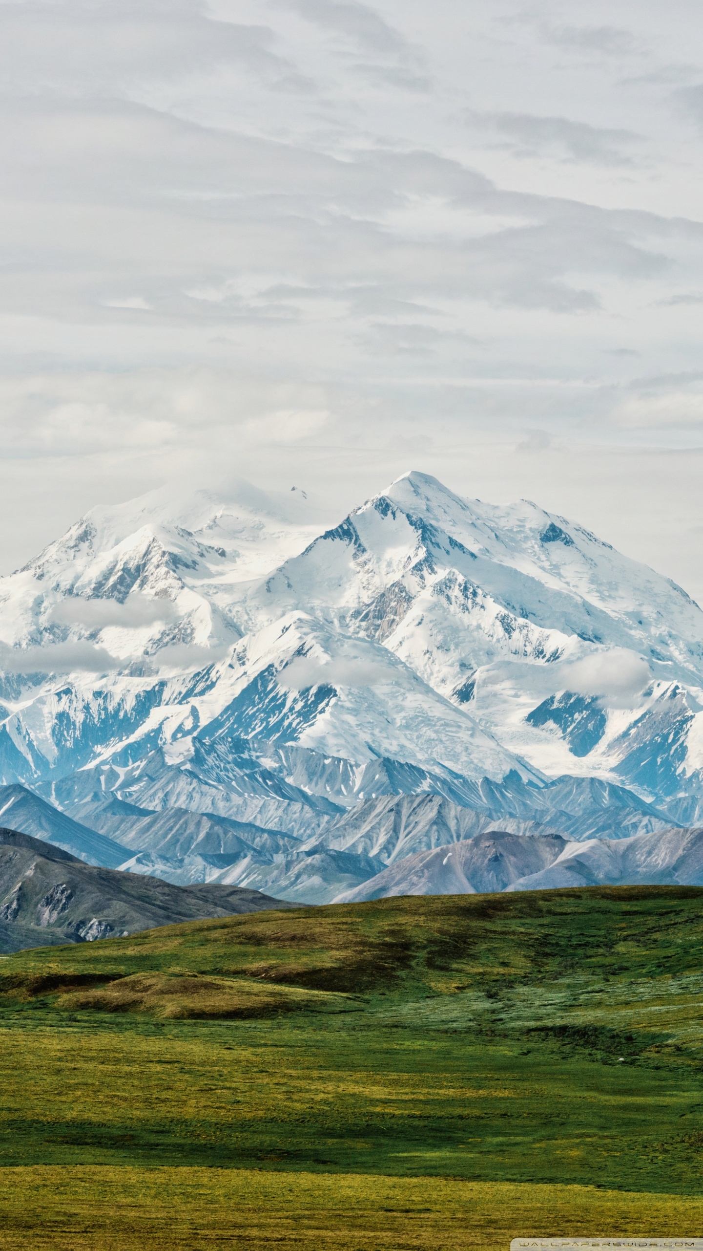 1440x2560 Denali Highest Mountain Peak in North, Phone