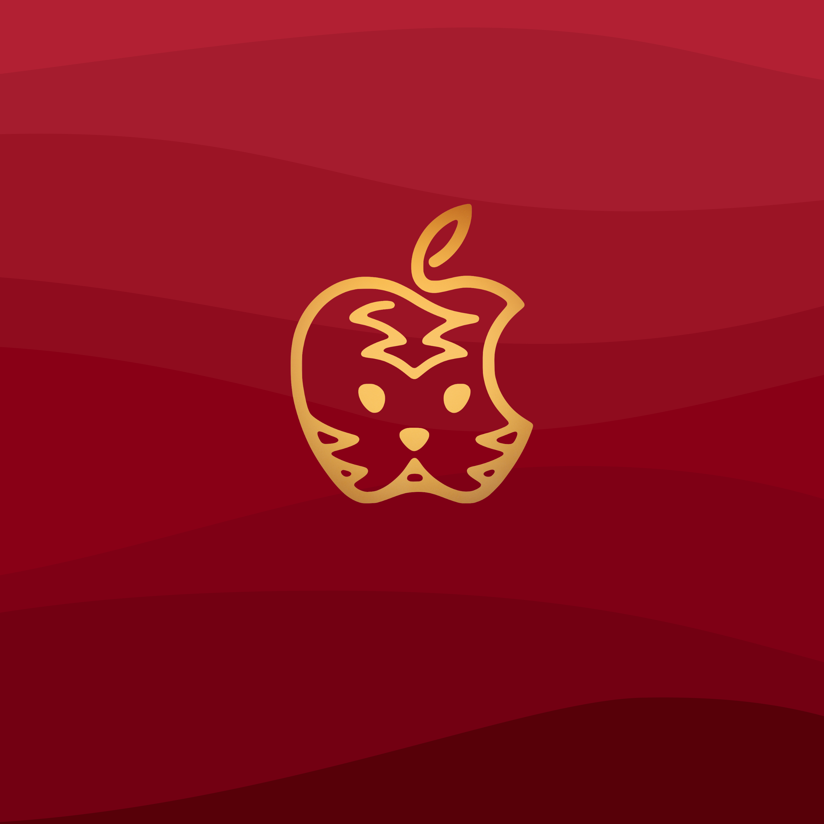 2740x2740 Year of the Tiger Apple Wallpaper, Phone