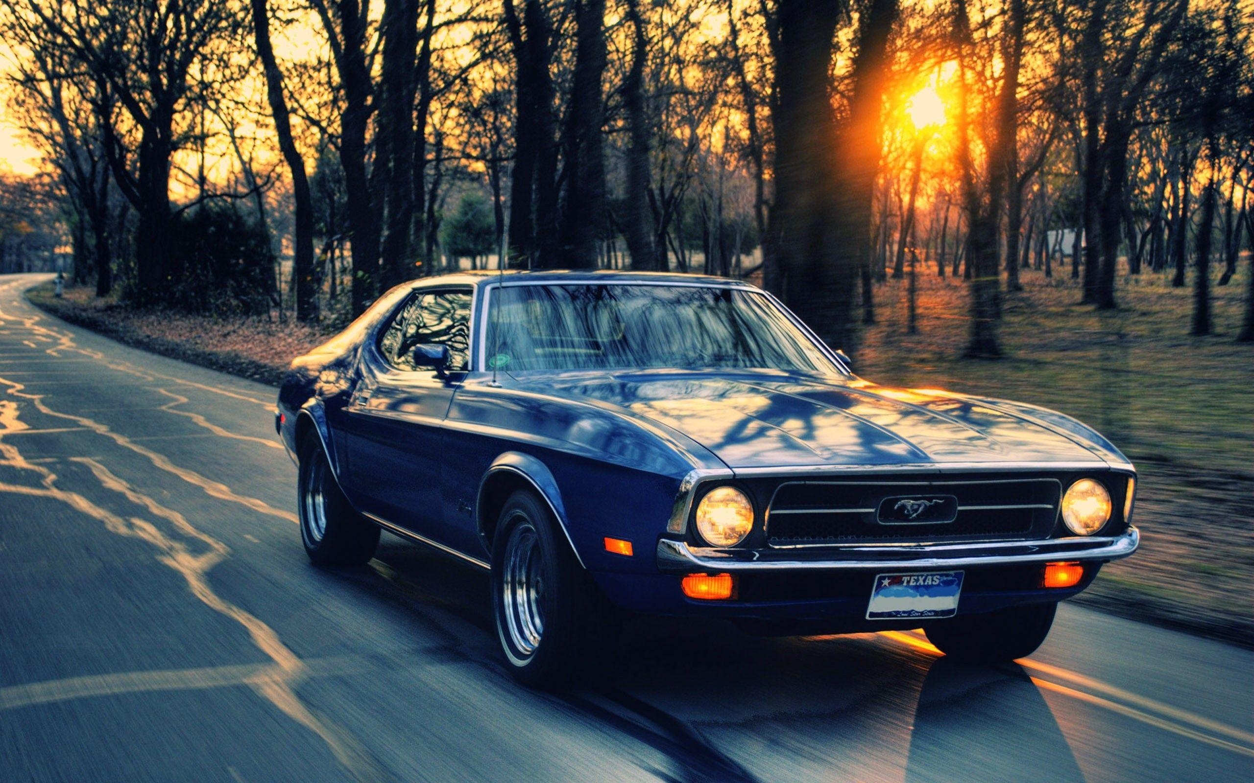 2560x1600 sunset, sunrise, trees, Ford, roads, Ford Mustang, driving, old, Desktop