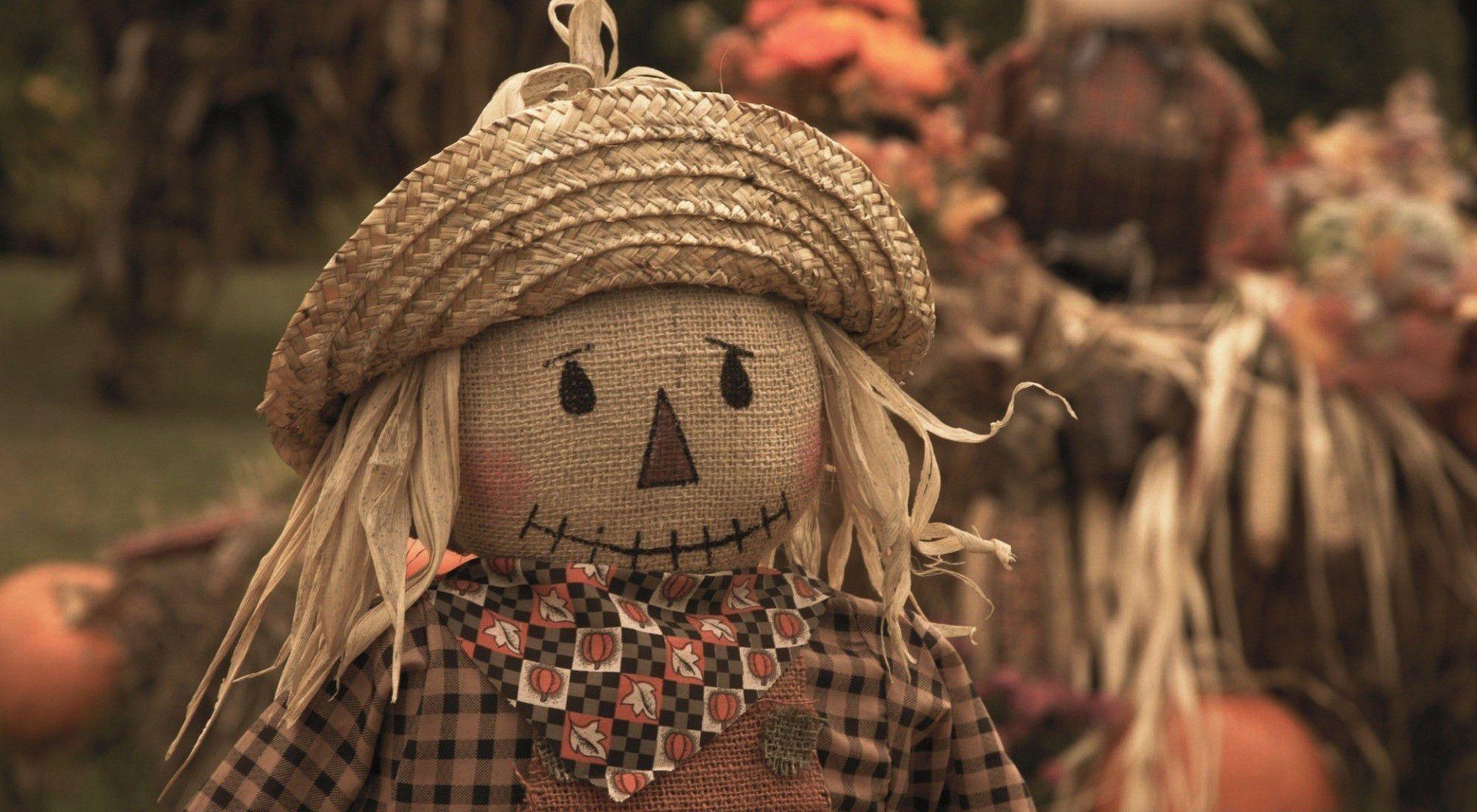 1920x1060 Scarecrow Doll Desktop Wallpaper, Desktop