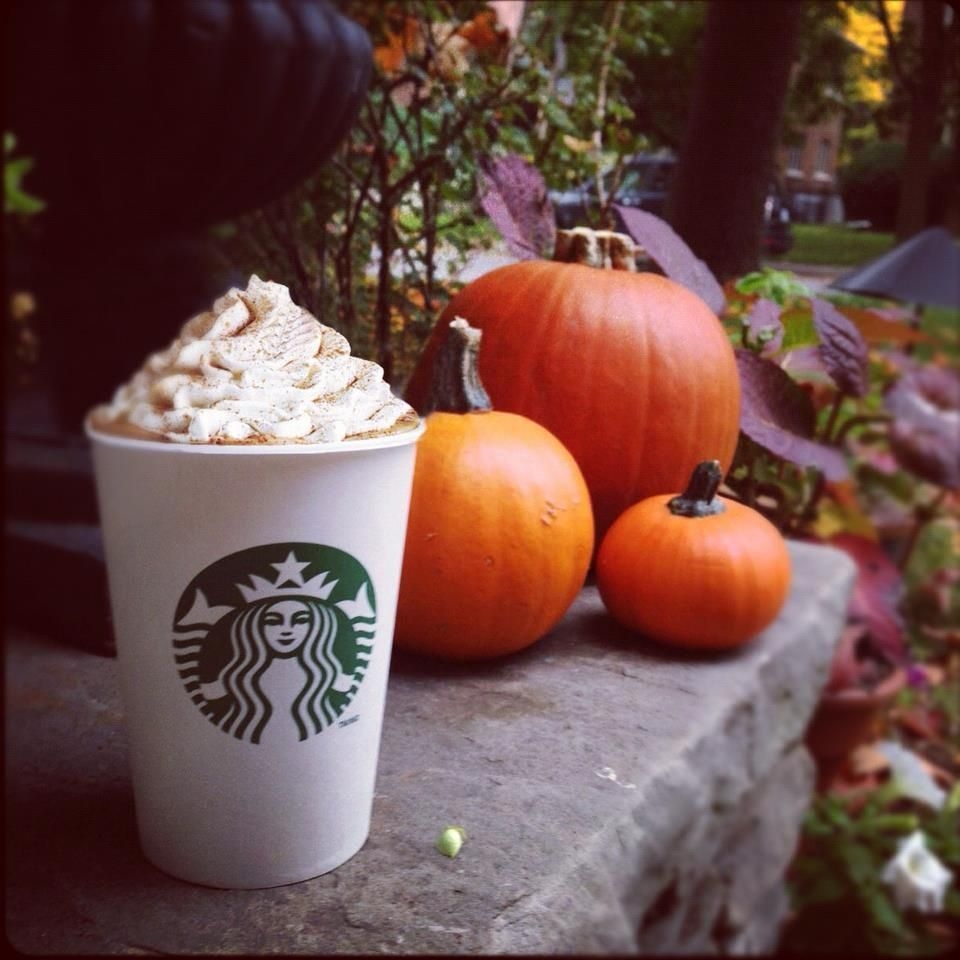 960x960 itsalessia on tumblr. Starbucks pumpkin spice latte, Pumpkin spice latte, Autumn coffee, Phone