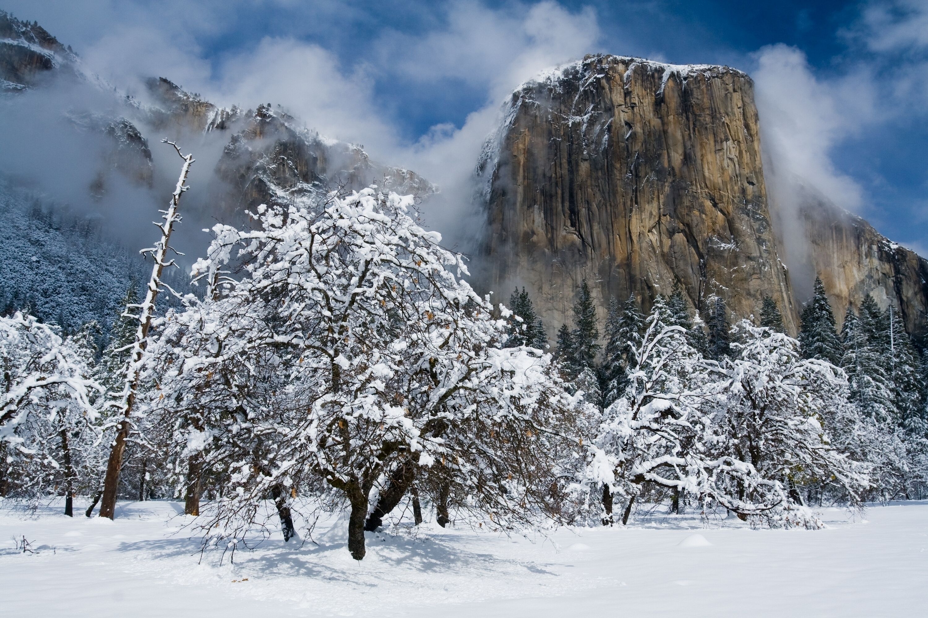 3000x2000 Yosemite National Park HD Wallpaper. Background, Desktop