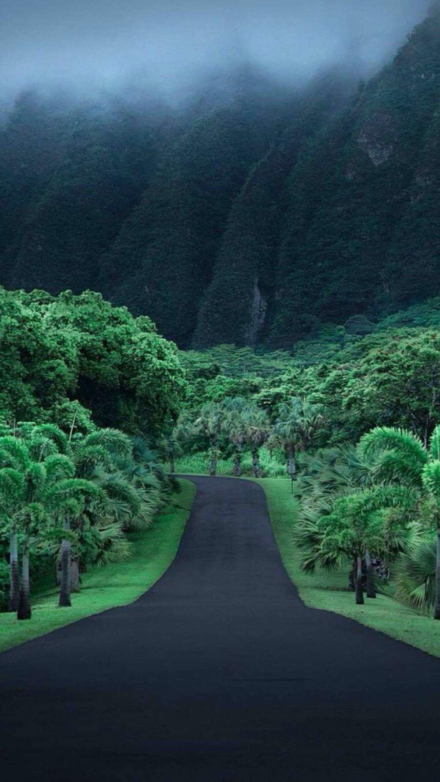 900x1600 Hawaii Nature iPhone Wallpaper, Phone