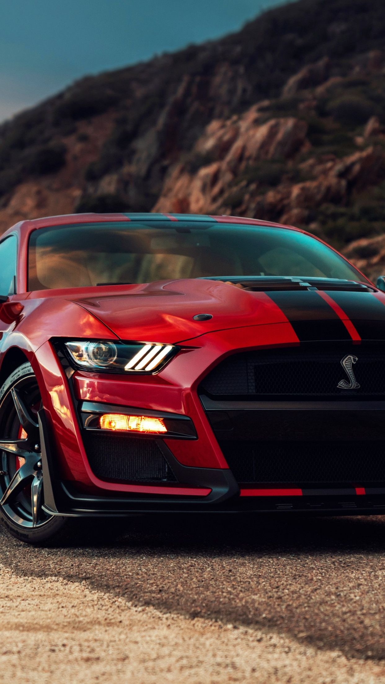 1250x2210 Download wallpaper: Ford Mustang Shelby GT500, Phone