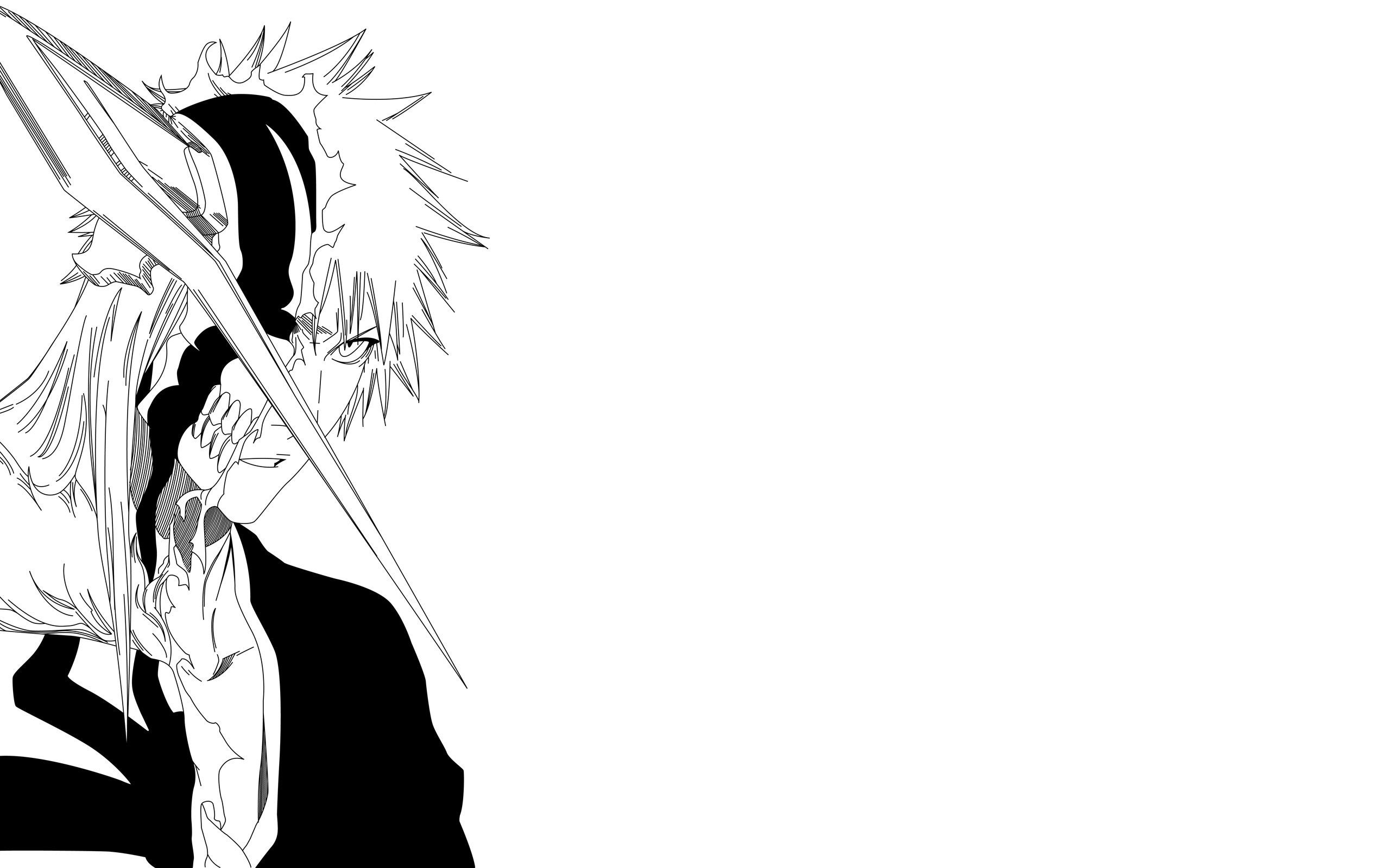 2560x1600 Kurosaki Ichigo, Bleach, Anime, Minimalism, Hollow Wallpaper HD / Desktop and Mobile Background, Desktop