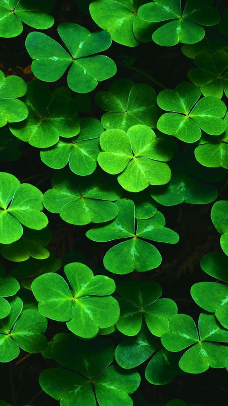 750x1340 Download Vibrant St. Patrick's Day Wallpaper, Phone