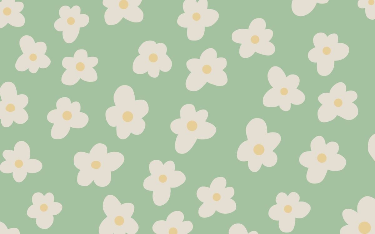 1200x750 spring daisy background. Minimalist desktop wallpaper, Flower desktop wallpaper, Cute laptop wallpaper, Desktop