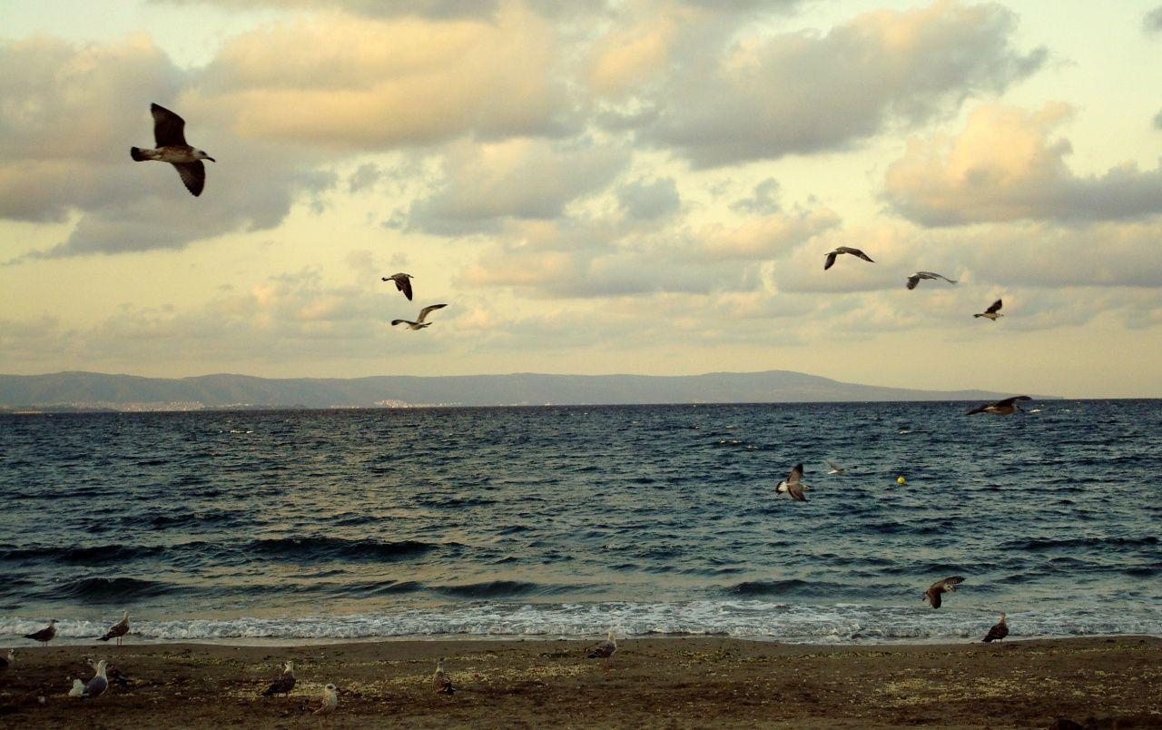 1280x810 Burgas, Bulgaria wallpaper. Burgas, Bulgaria, Desktop