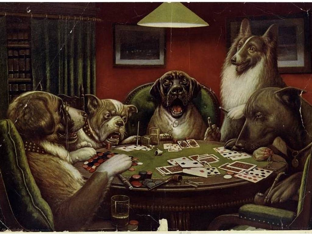 1030x770 Funny Animals Playing Cards Wallpaper HD 19 Wallpaper. High, Desktop