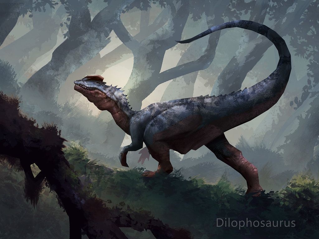 1030x770 Dilophosaurus, Dinosaur, Dinosaur art.com, Desktop