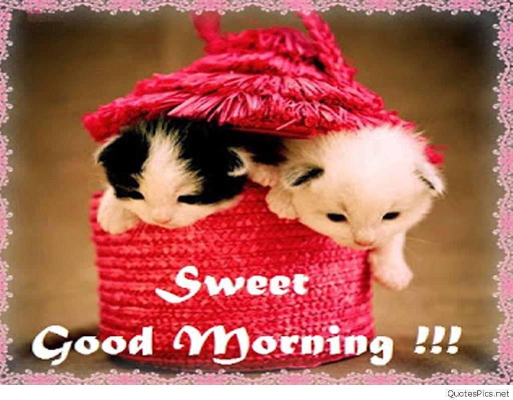 1030x800 Good Morning Image, HD Wallpaper & Picture for Download, Desktop