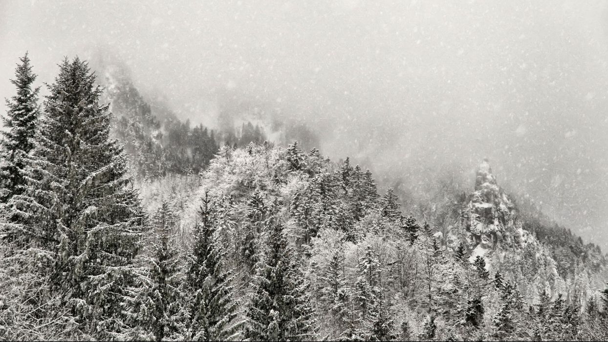 1250x700 Winter snow mountains fog forest wallpaperx1080, Desktop