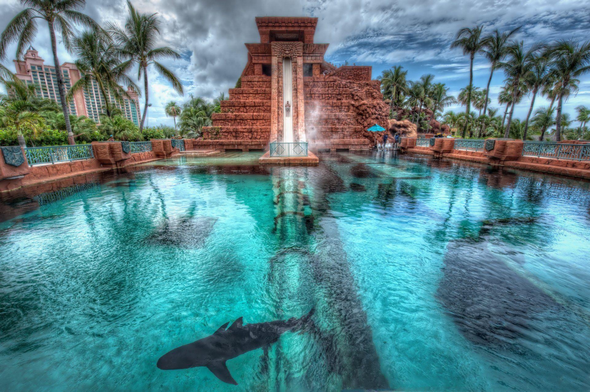 1920x1280 nassau bahamas nassau bahamas atlantis hotel palm pool shark HD, Desktop