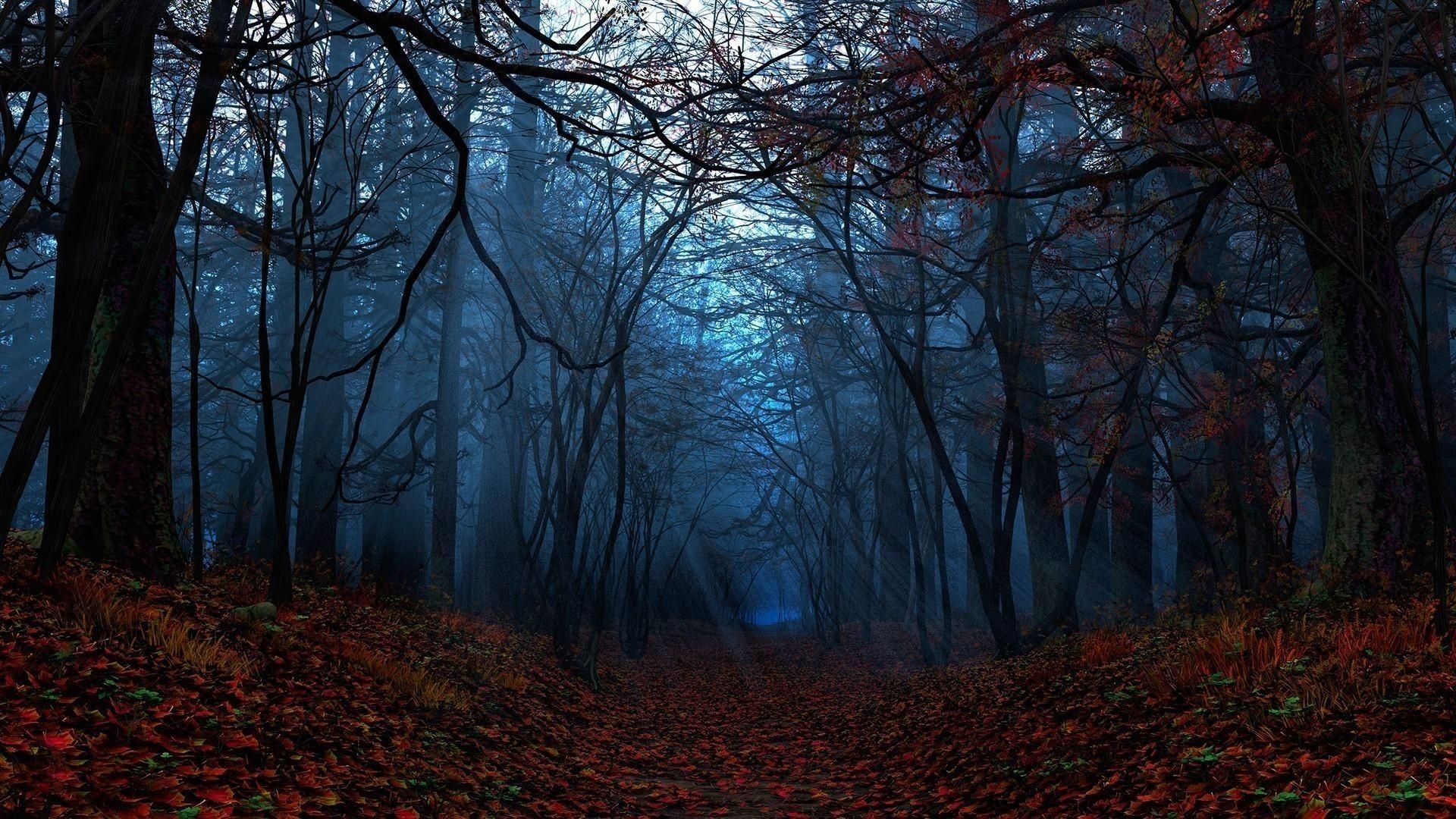 1920x1080 Fall Forest Night Wallpaper Free Fall Forest Night Background, Desktop