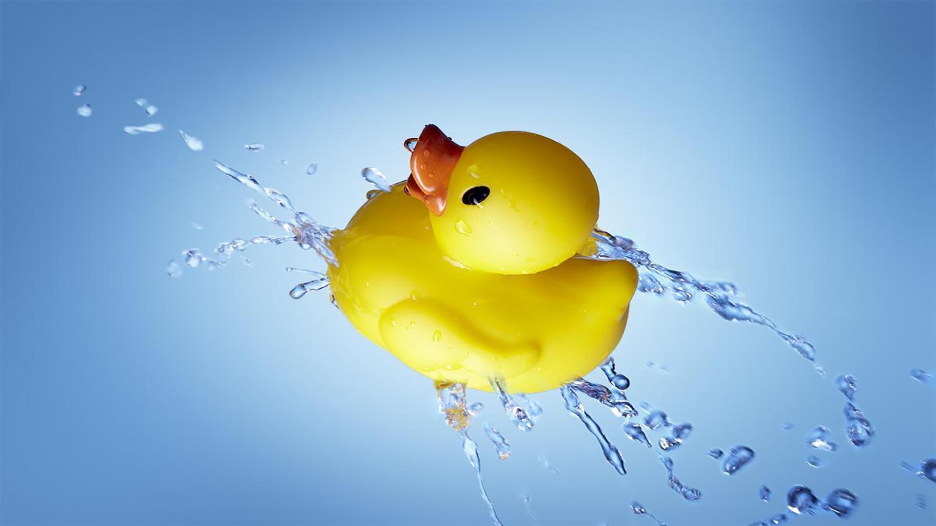 1920x1080 Rubber duck. Live Wallpaper for Android, Desktop