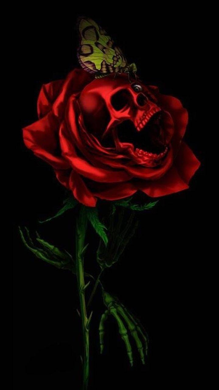 720x1280 skull rose Wallpaper, Phone