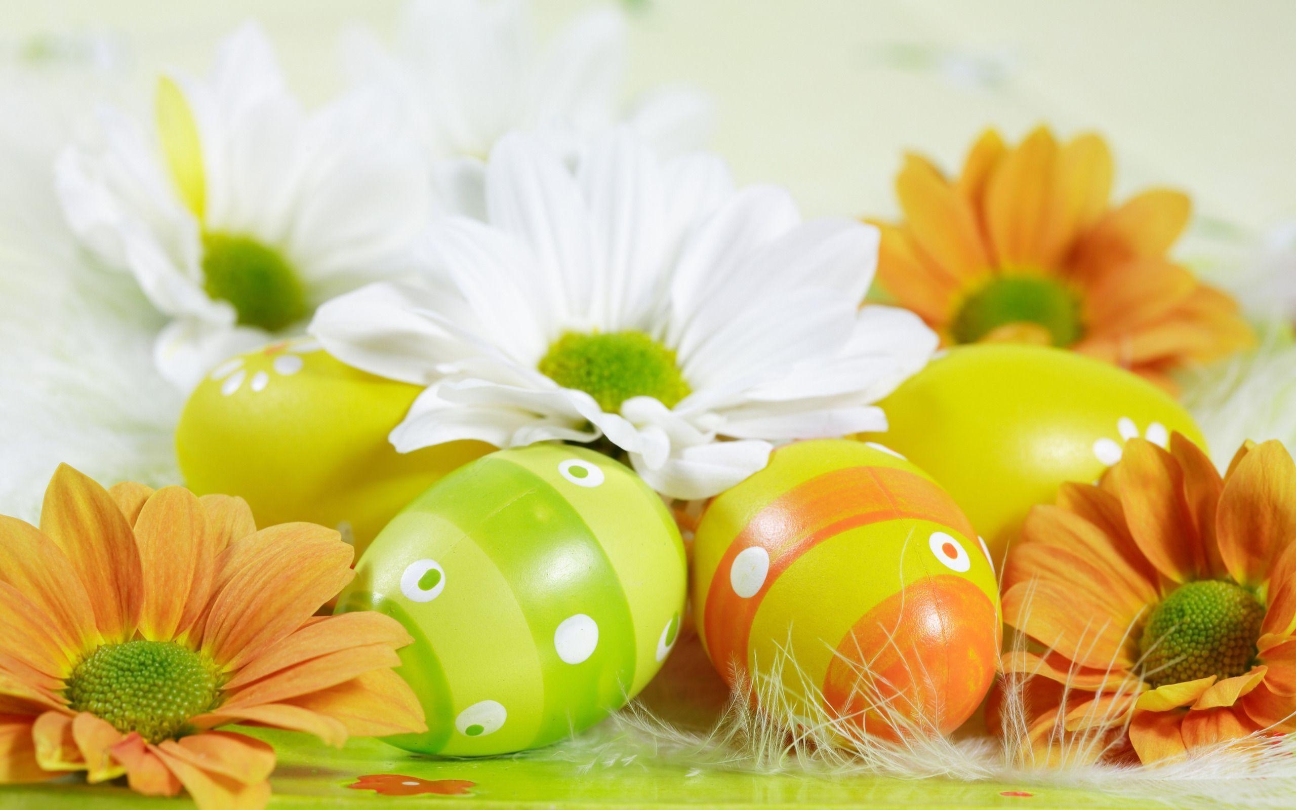 2560x1600 Easter HD Wallpaper, Desktop