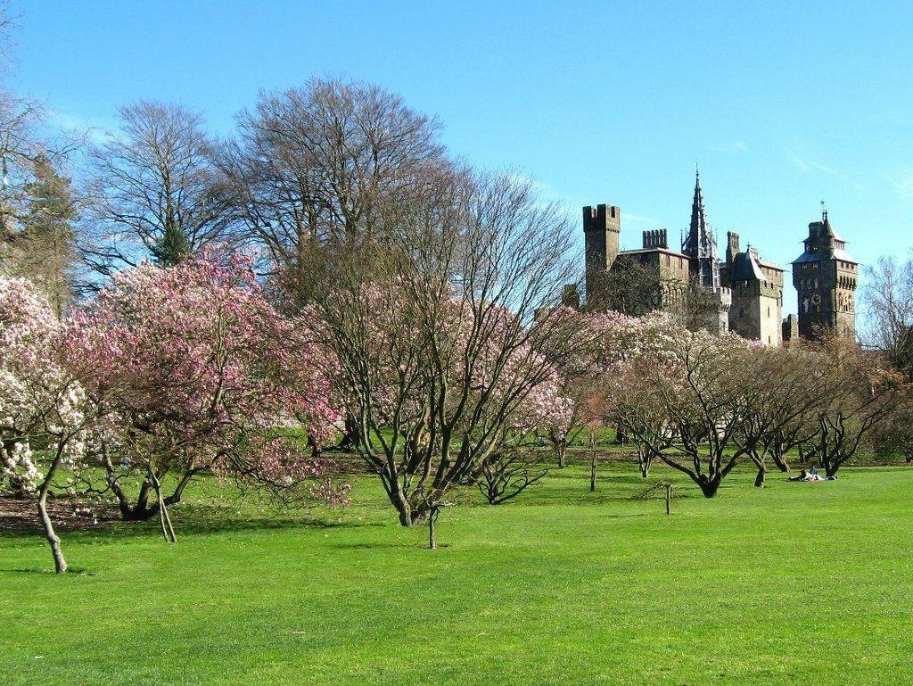 1030x770 Cardiff Castle View Wallpaper, Desktop