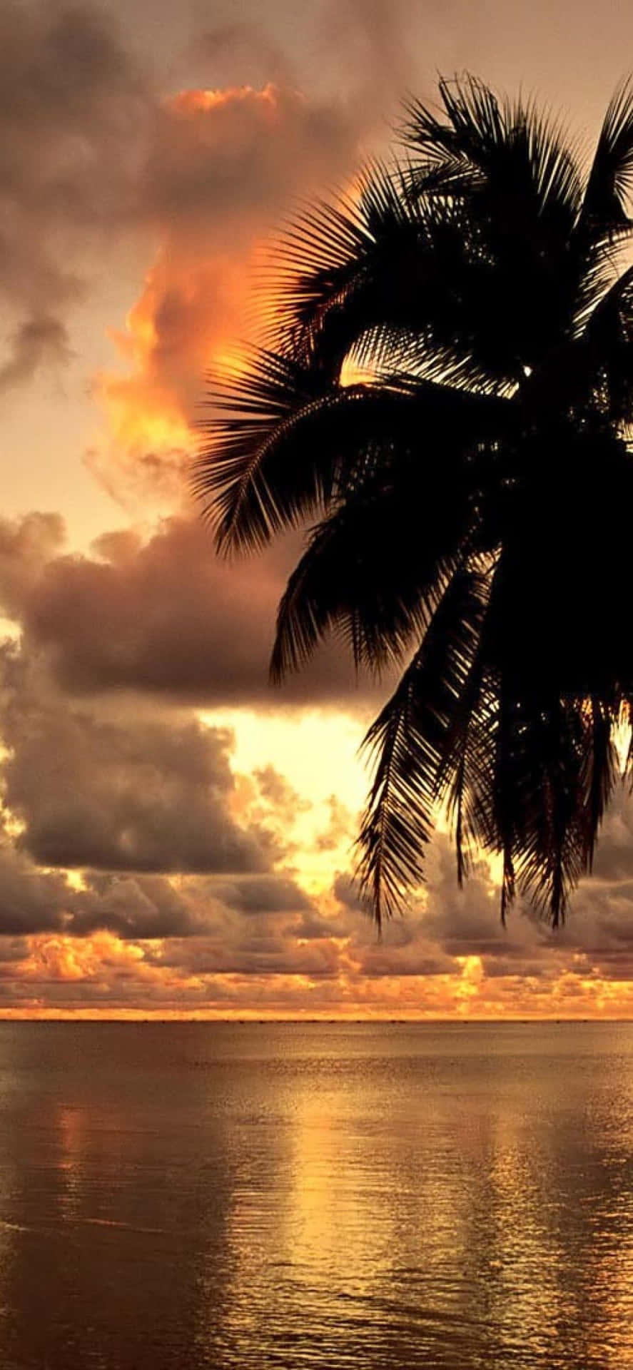 890x1920 Download Enjoy the beauty of Hawaii with your trusty iPhone Wallpaper, Phone