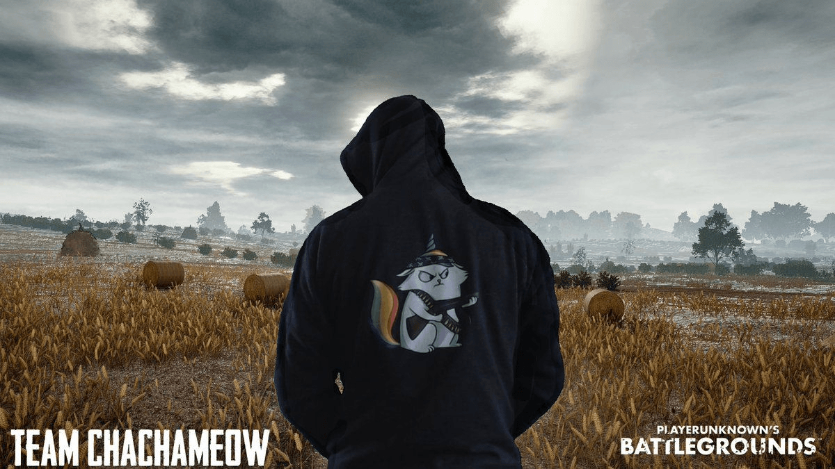 1200x680 Team Chachameow Pubg Wallpaper for Phone and HD Desktop Background, Desktop