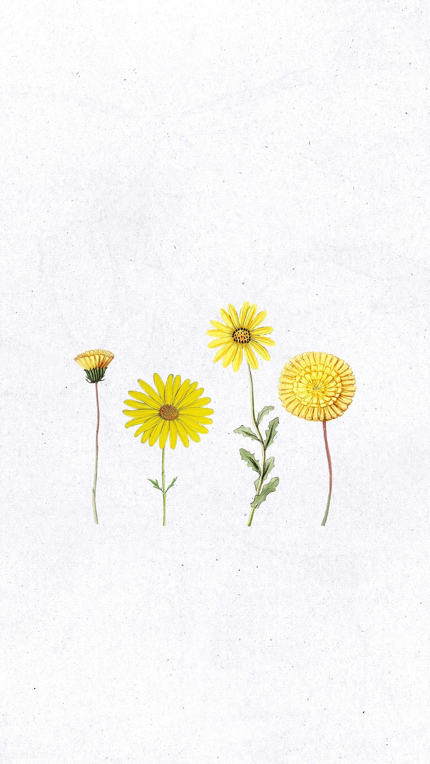 1400x2490 Download premium illustration of Various hand drawn yellow flower mobile. Flower drawing, Flower illustration, Yellow flower wallpaper, Phone