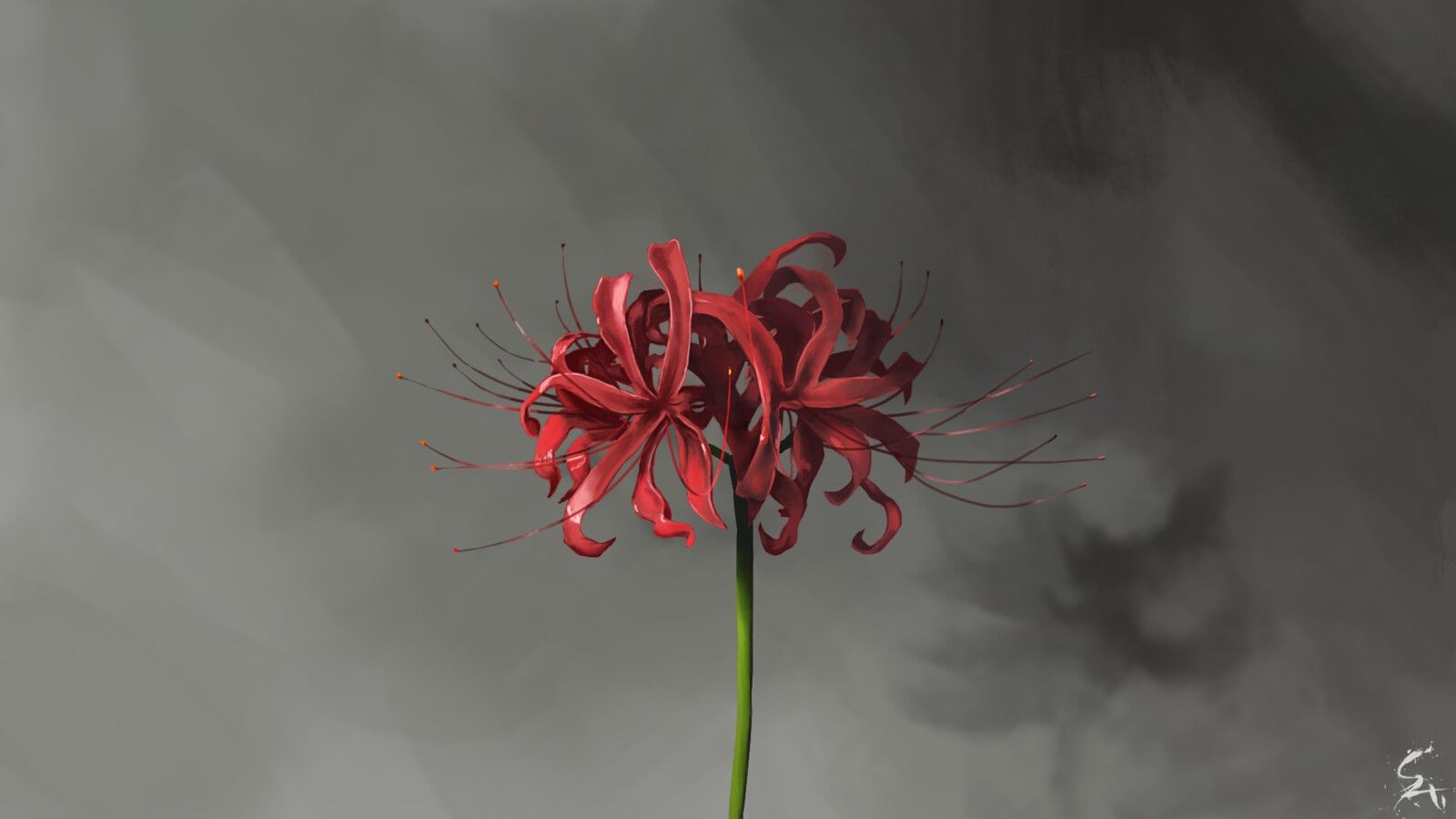 1600x900 The Red Spider Lily, Vivek Pradhan, Desktop