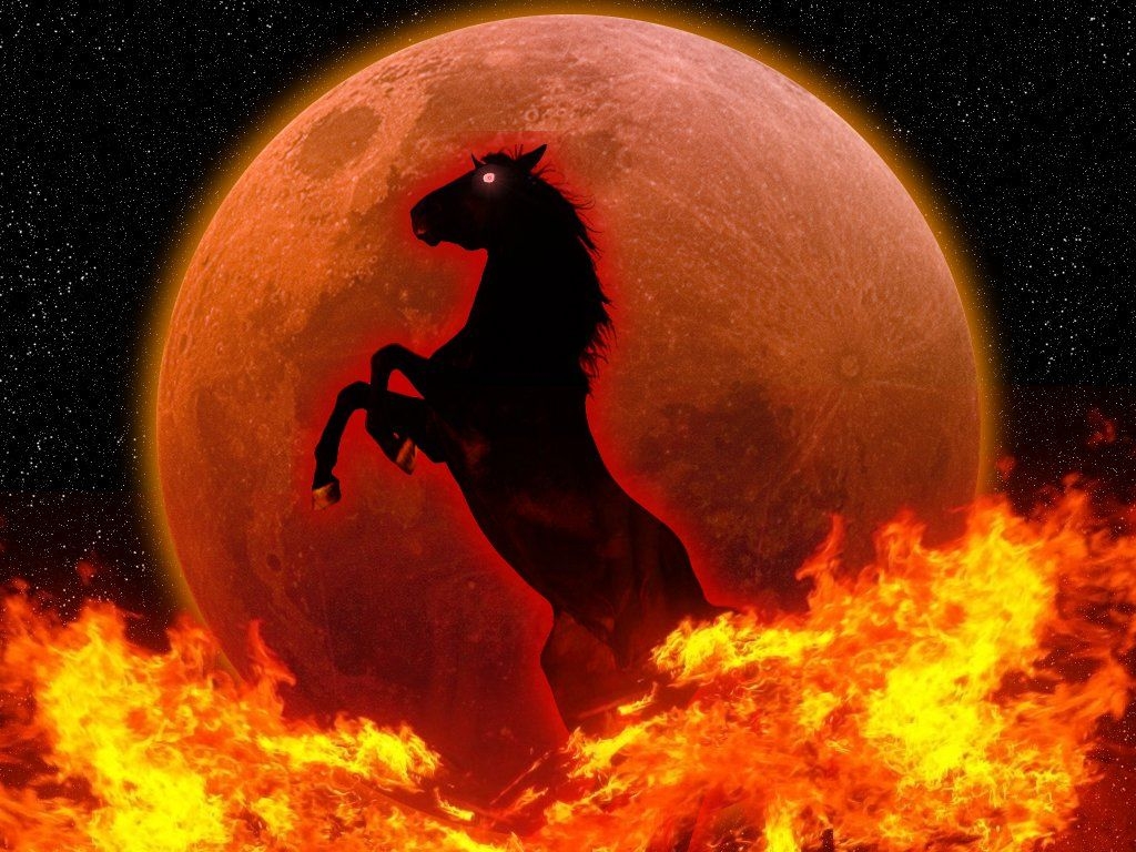 1030x770 Free download fire horse photo fire horse photo fire horse picture fire [] for your Desktop, Mobile & Tablet. Explore Fire Horse Wallpaper. Cool Fire Wallpaper, Horse Wallpaper for, Desktop