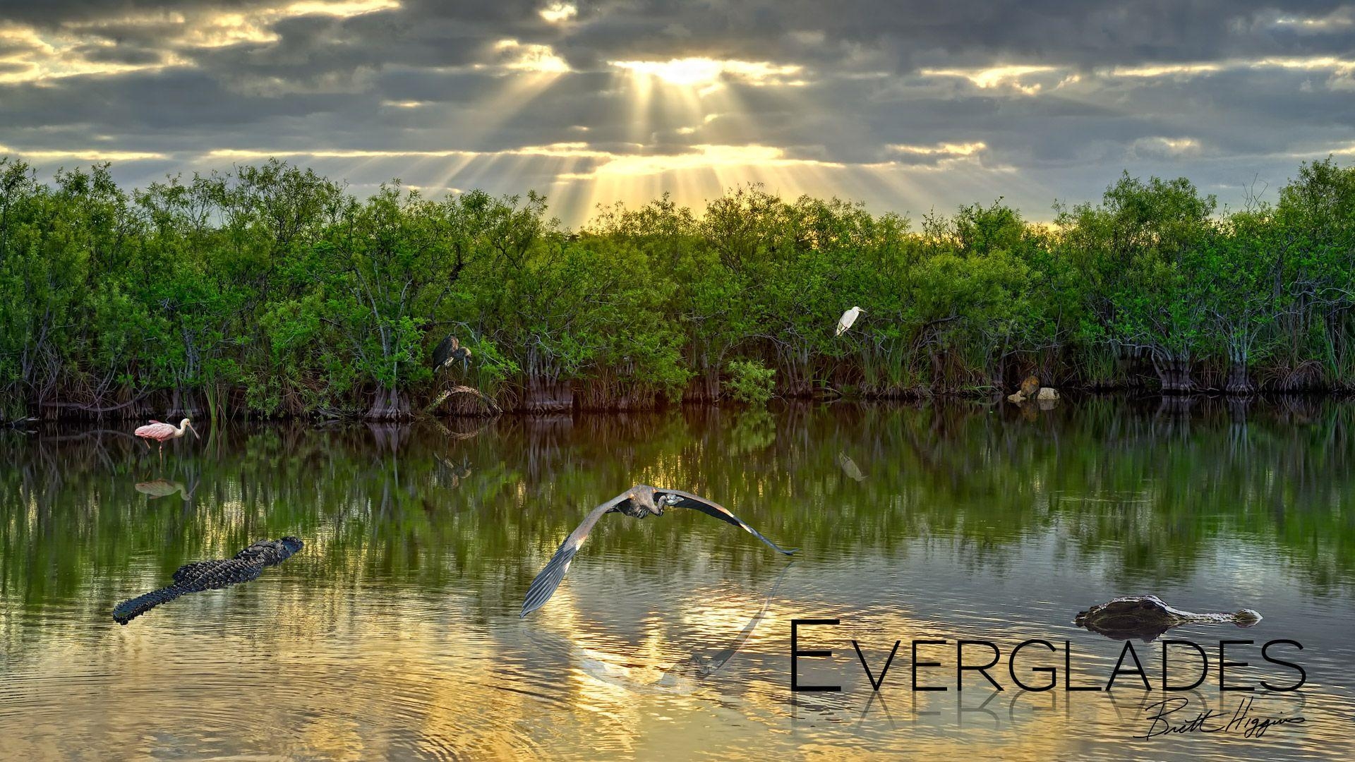 1920x1080 Best HD Everglades National Park Wallpaper, Desktop