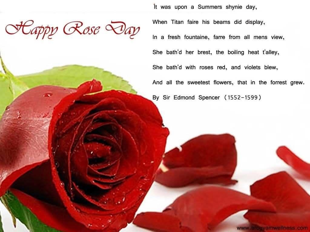 1030x770 Happy Rose Day Messages, Quotes, SMS, Whatsapp Status, Video for Lover, Desktop