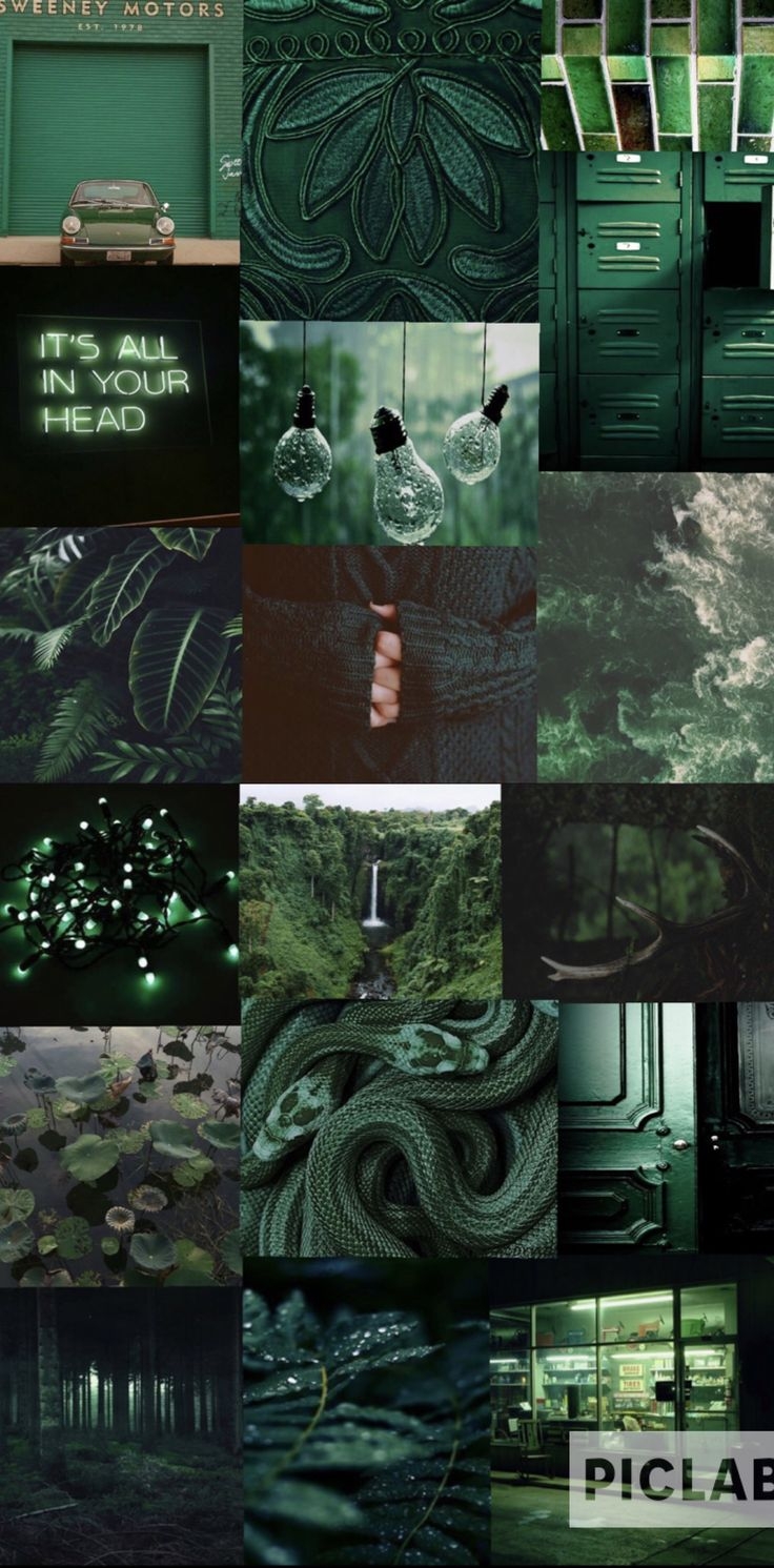 740x1500 Green aesthetic Dark green aesthetic Emerald aesthetic Aesthetic. Dark green aesthetic, Dark green wallpaper, Dark aesthetic, Phone