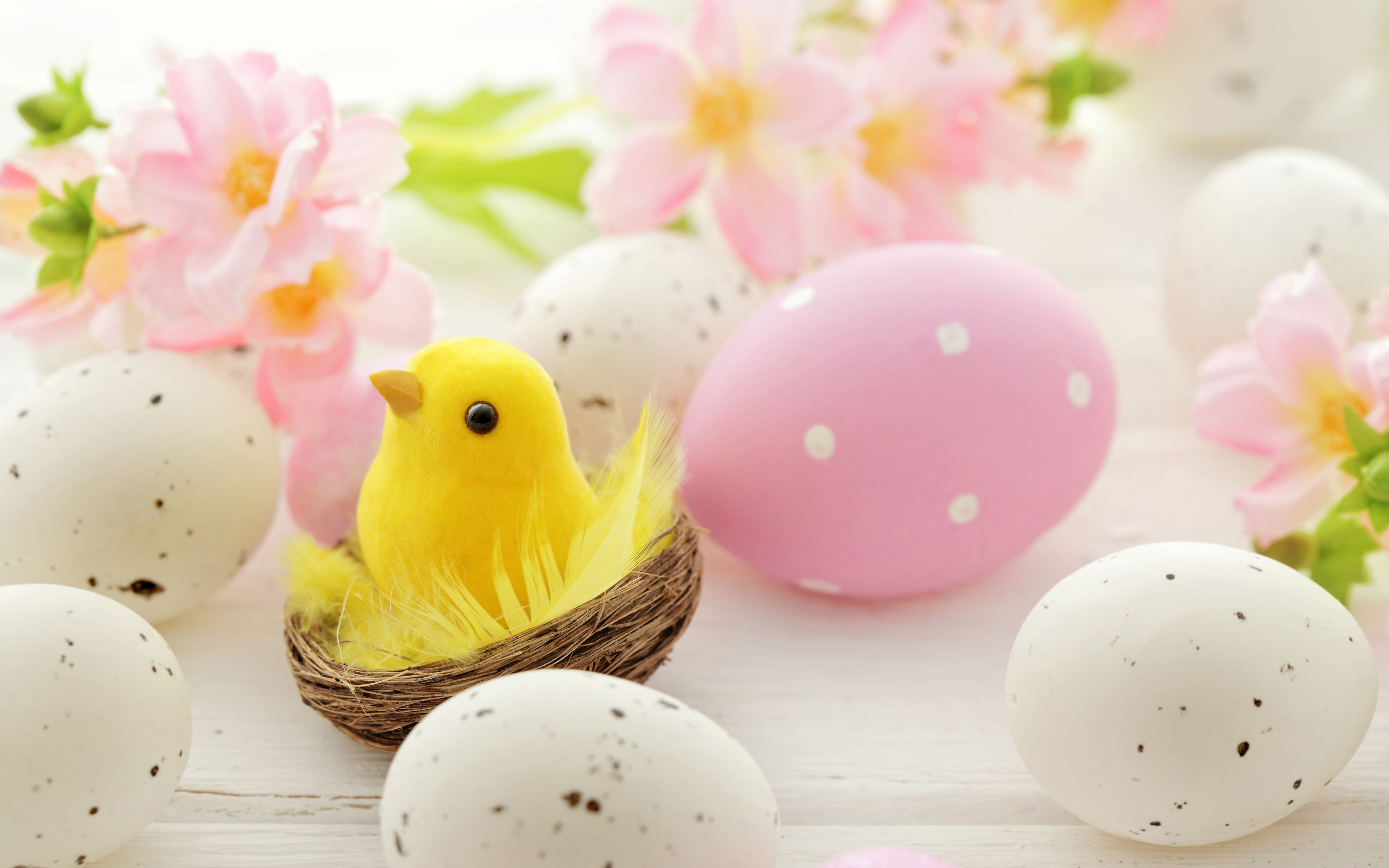 5120x3200 Easter Chicks Desktop Background, Desktop