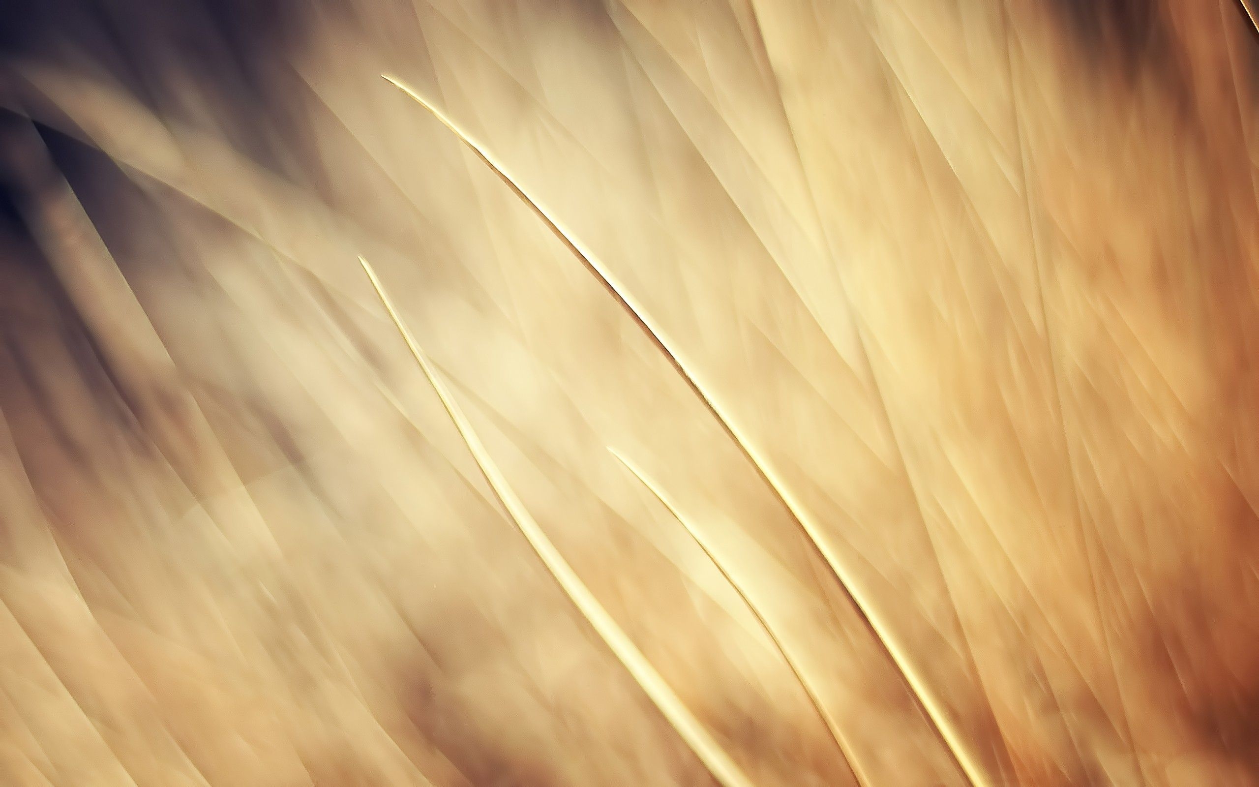 2560x1600 Download Wallpaper Beige Abstraction On.wallpapertip.com, Desktop