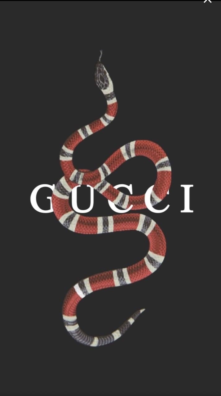 720x1280 Gucci iPhone Wallpaper Download, Phone