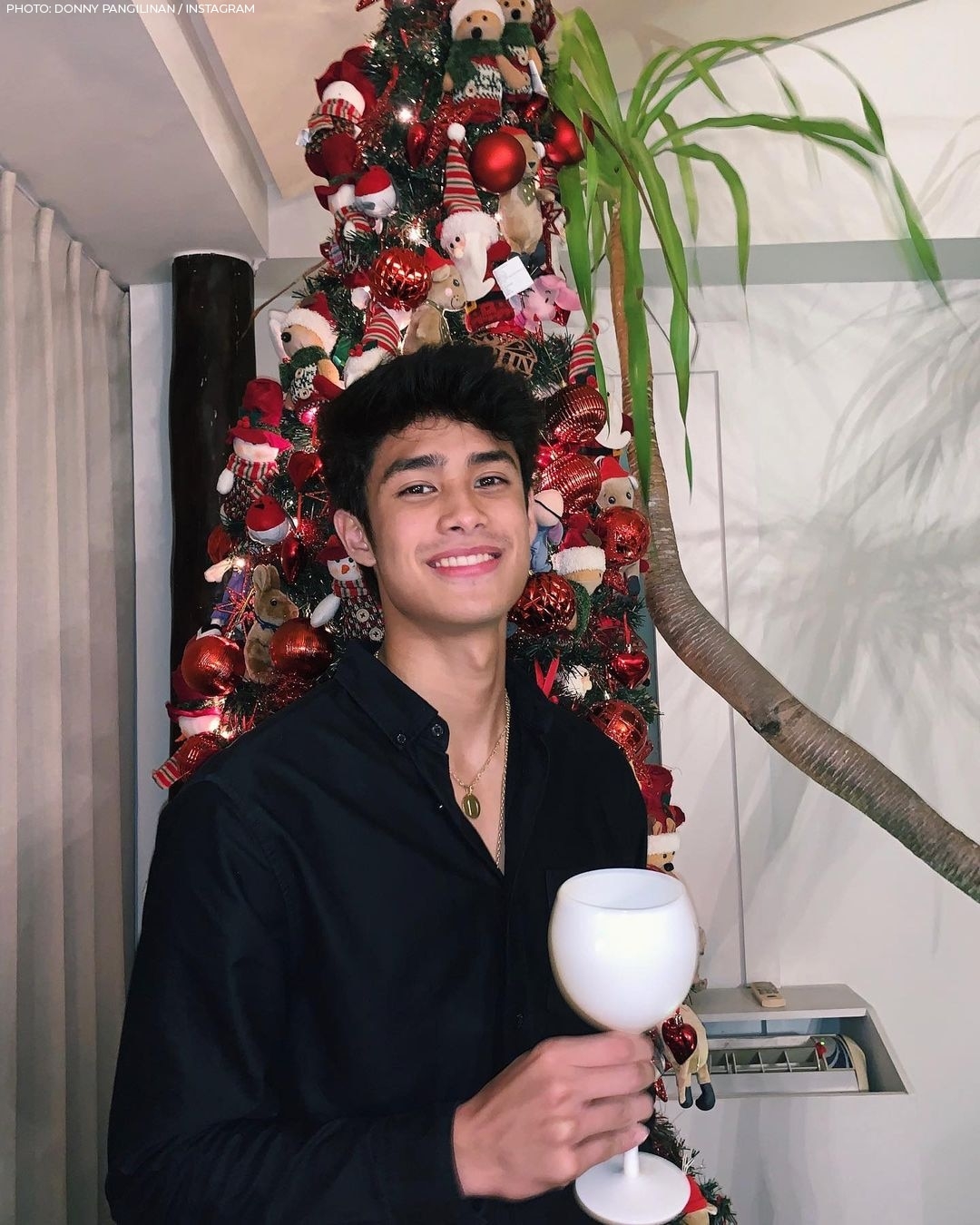 1080x1350 photo of Donny Pangilinan that prove he's the perfect Deib Lohr in 'He's Into Her', Phone