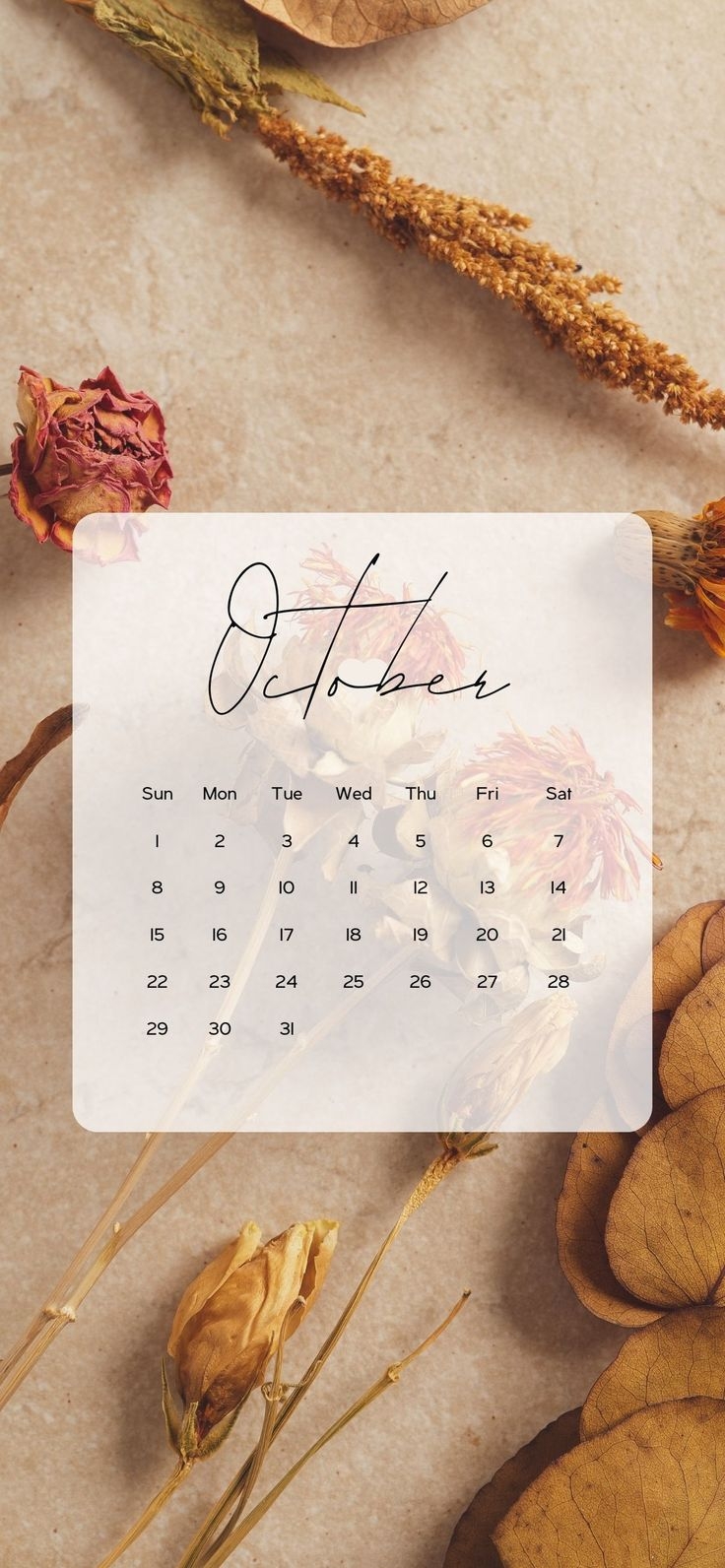 740x1600 October Calendar Wallpaper Aesthetic Background (2024). October calendar wallpaper, Calendar wallpaper, October wallpaper, Phone