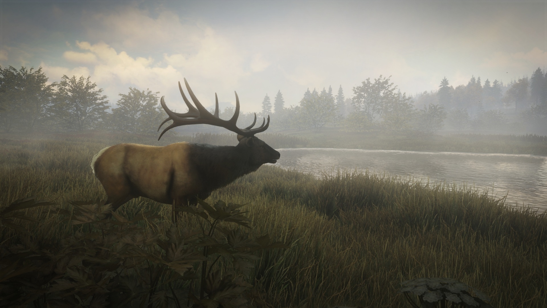 1920x1080  thehunter call wild HD wallpaper for computer, Desktop