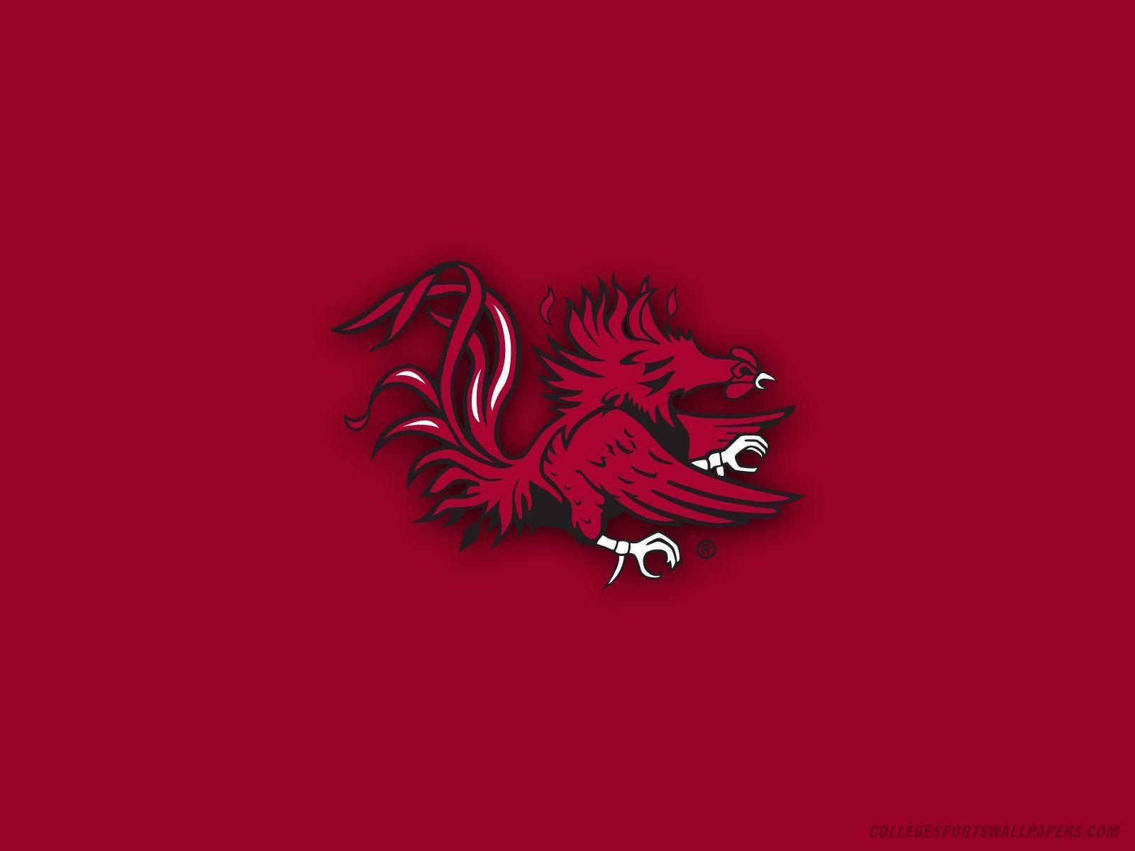 1600x1200 SOUTH CAROLINA GAMECOCKS college football wallpaperx1200, Desktop