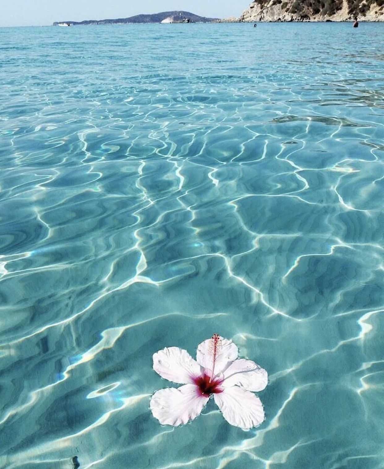 1250x1520 Summer Aesthetic Wallpaper iphone Wallpaper, Phone