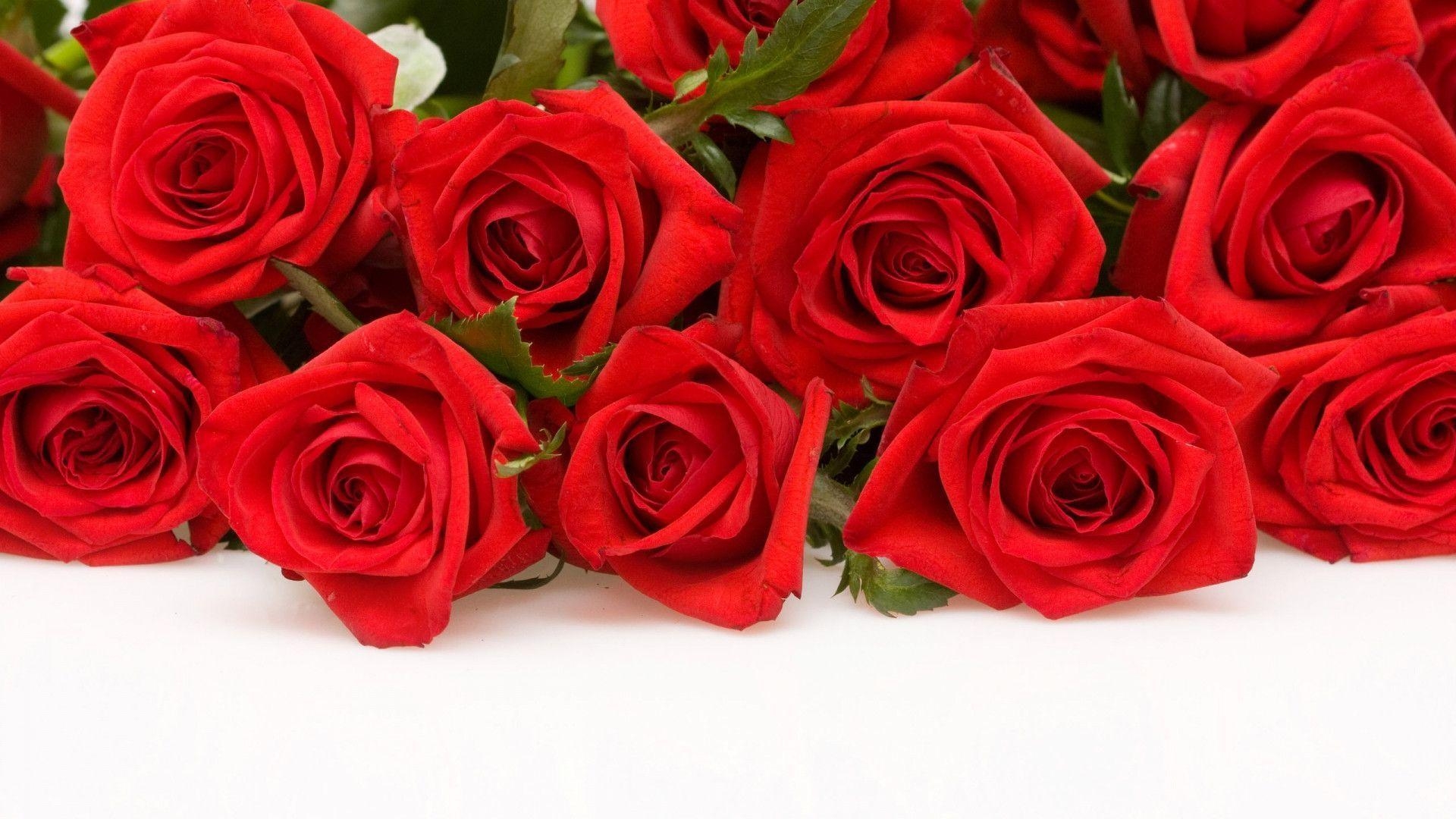 1920x1080 Red Flowers Wallpaper Wallpaper Inn, Desktop