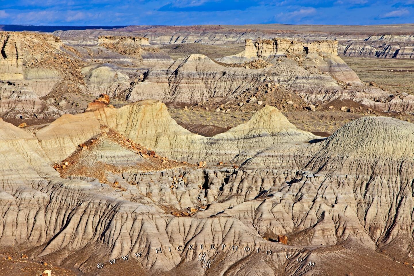 1440x960 Free wallpaper background: Petrified Forest Landscape Arizona, Desktop