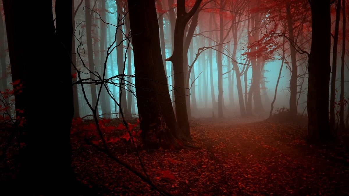 1200x680 Strange Dream By Janek Sedlar][ Halloween, Spooky, Creepy, Autumn, October. Autumn Forest, Studio Photography Backdrop, Abstract Nature, Desktop