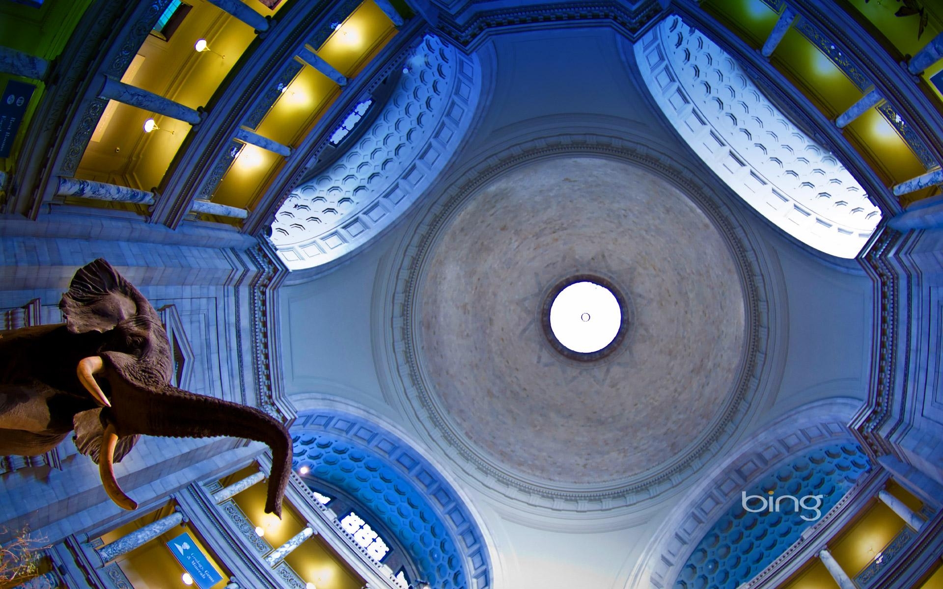 1920x1200 Rotunda of the Smithsonian Institution National Museum of Natural, Desktop