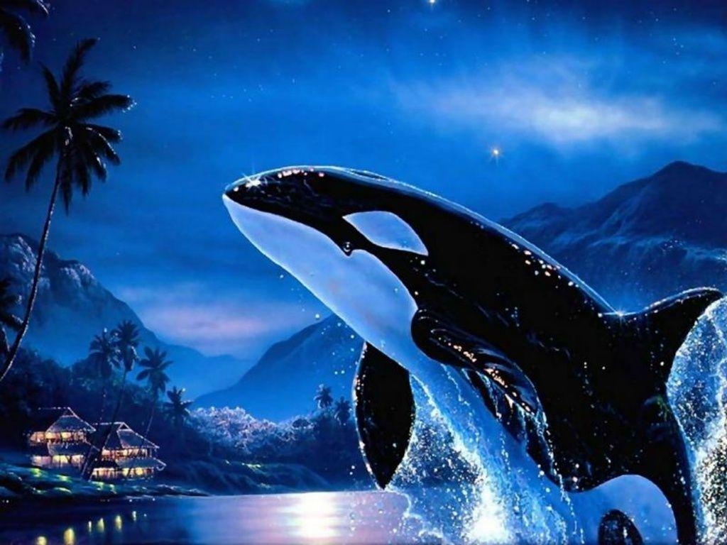 1030x770 image For > Orca Wallpaper, Desktop