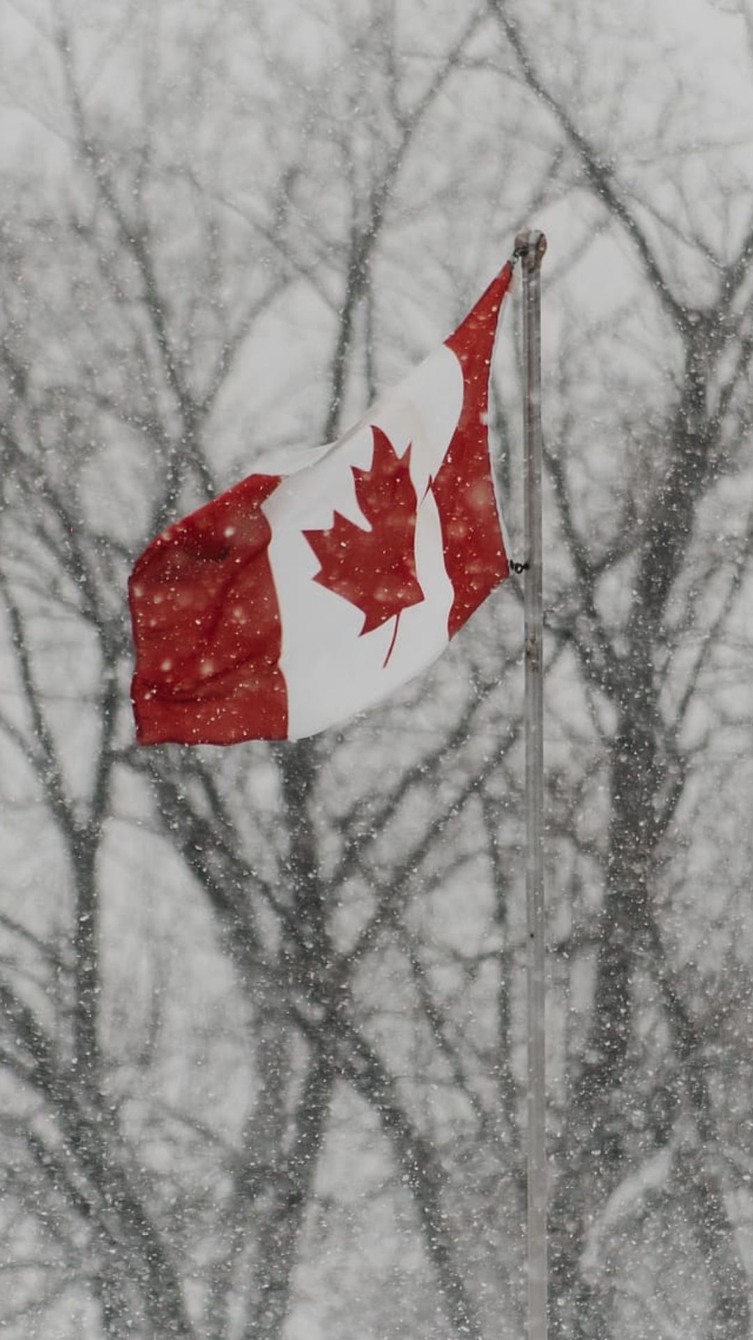 1080x1920 Canada Flag Wallpaper Canada Flag Wallpaper Download, Phone