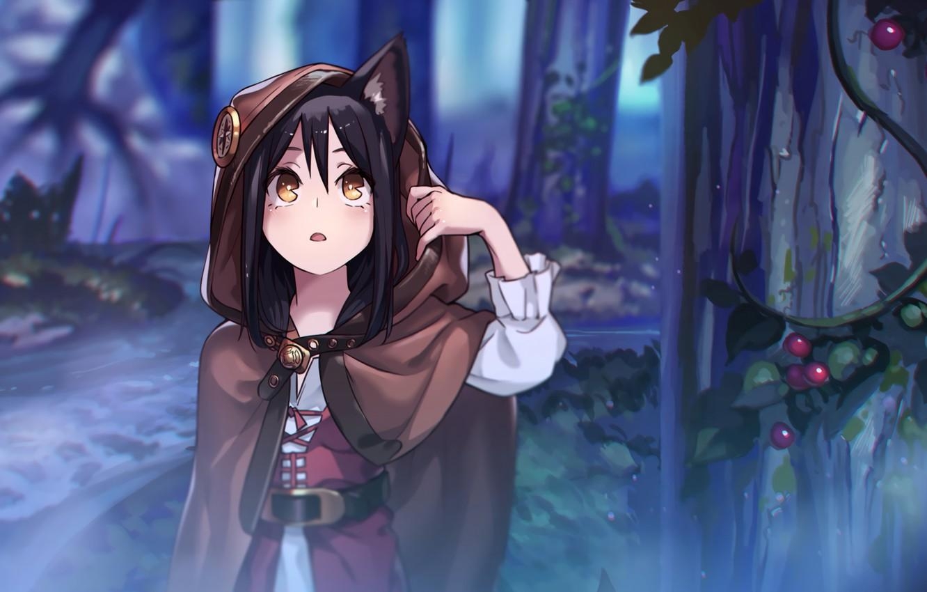 1340x850 Wallpaper Forest, Girl, Dark, Anime, Art, Neko, The Girl In The Hoodie, Neko Chan, Nekomimi Image For Desktop, Section арт, Desktop