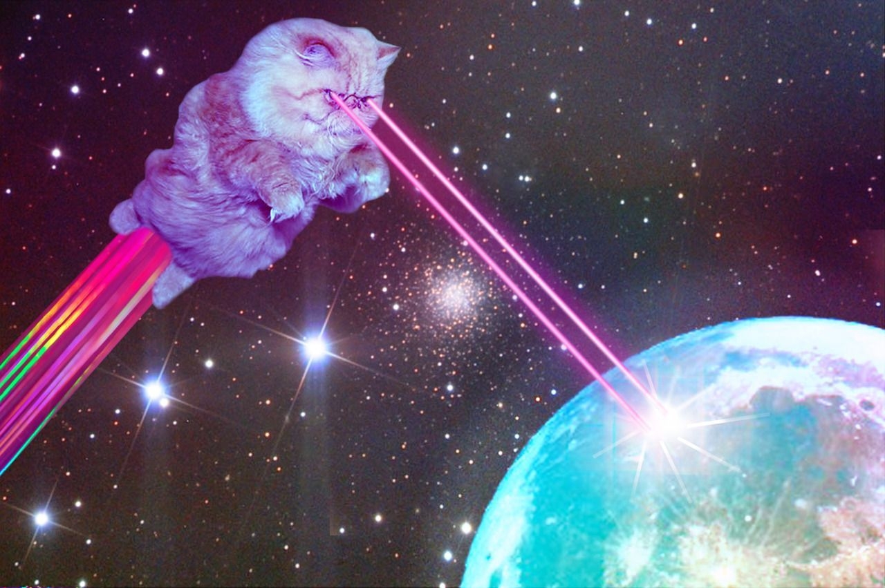 1280x860 cats in space with laser eyes. Space cat, Galaxy cat, Cat wallpaper, Desktop